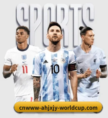 平台简介 - 体育资讯内容服务